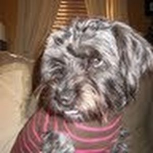 Meet your Posher, Catherine